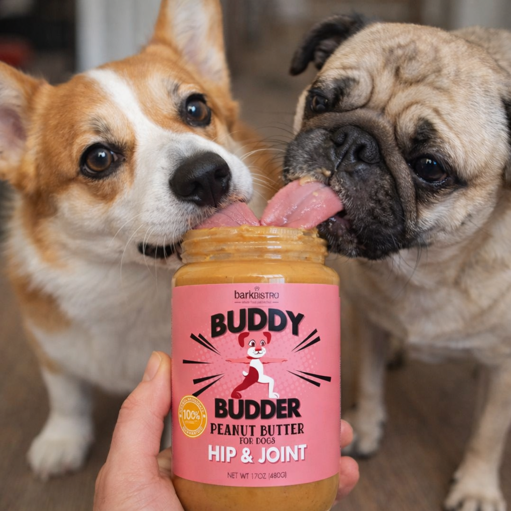 Cranberry Canine Buddy Budder – Joint Support Peanut Butter for Dogs (Buddy Booster Line)