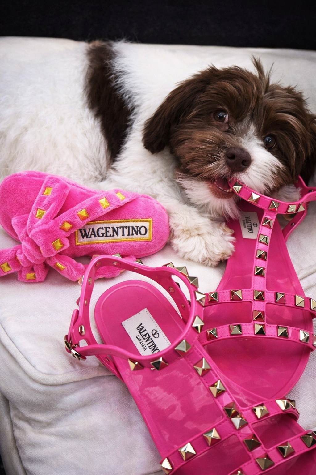 Wagentino Sandal Dog Toy – Luxury Designer Plush Toy with Squeaker