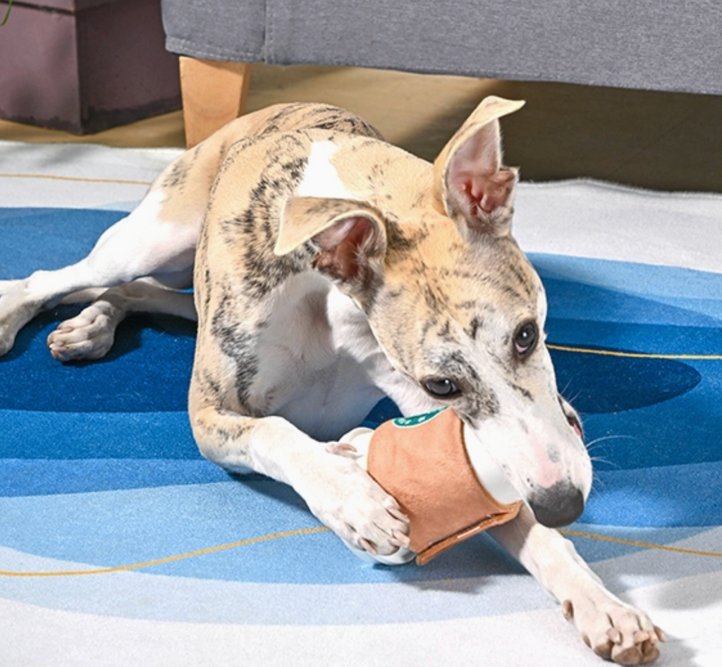 Starpaws Coffee- Tpr Rubber Toy