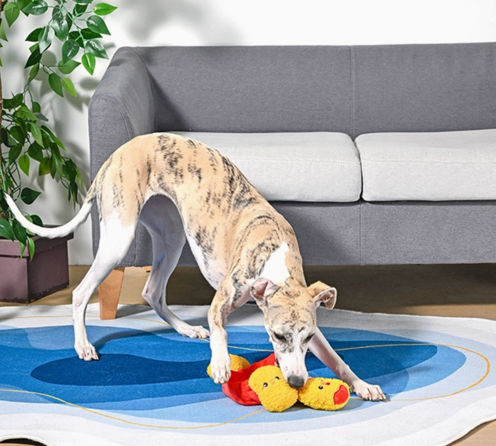 Chicken Nuggets -Interactive Toy