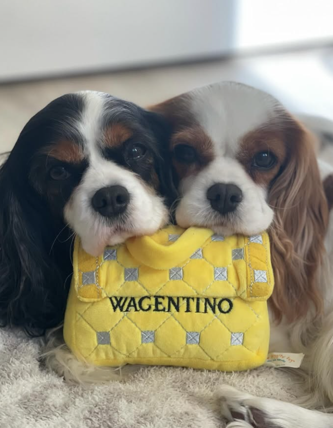 Wagentino Handbag Dog Toy – Luxury Designer Plush Toy with Squeaker