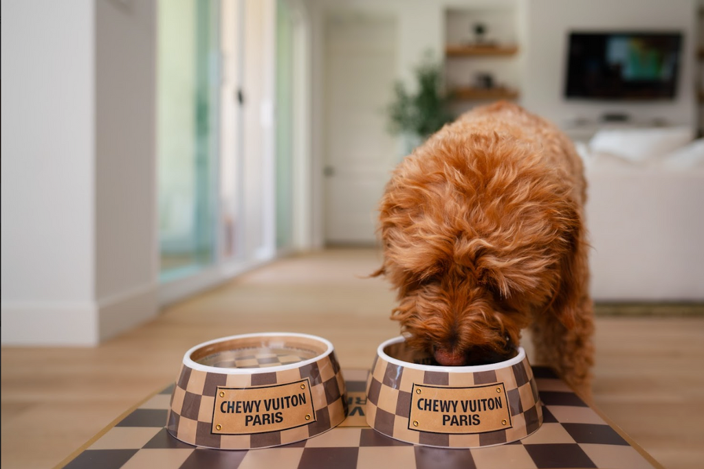 Checker Chewy Vuiton Bowl Set – Medium (Set of 2) | Designer Dog Bowls